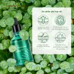 Combo 4 tinh chất dưỡng da Mirum